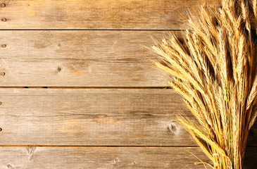 Rye spikelets over wooden background