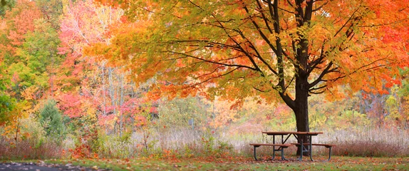 Selbstklebende Fototapete Herbst Entspannende Herbstszene