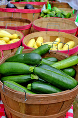 Basket of fresh vegetables
