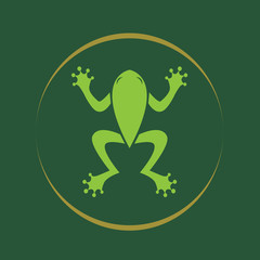 Vector image of an frog