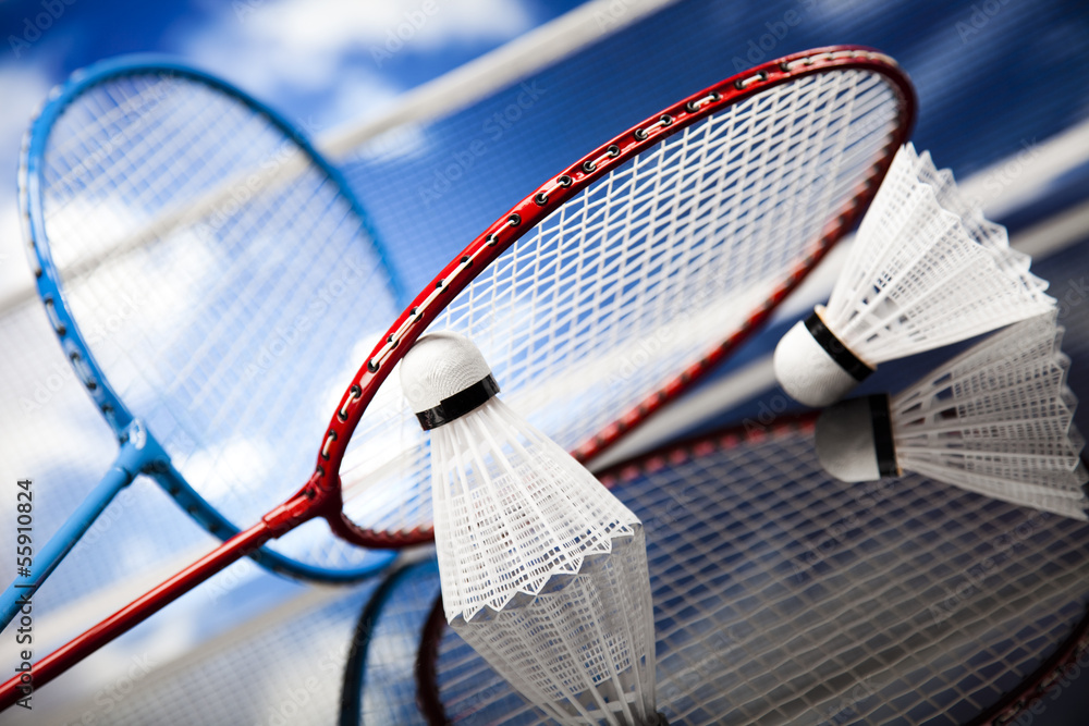 Wall mural shuttlecock on badminton racket