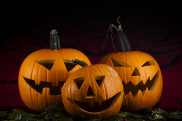 Halloween background with pumpkins in the Grass Bats
