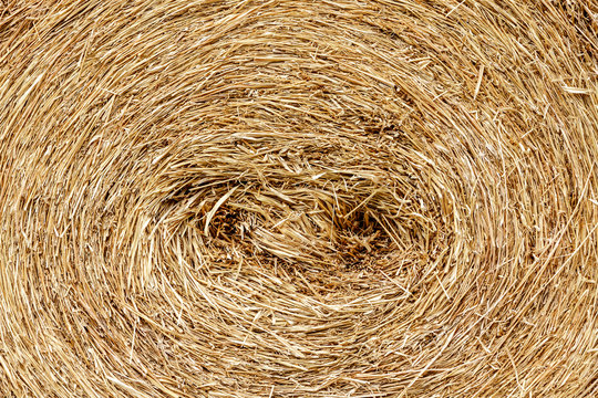 closeup of a circular straw bale for background