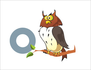 Cartoon Owl and letter O
