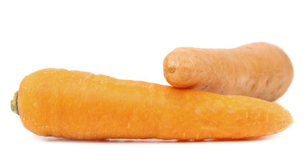 Carrot tubers