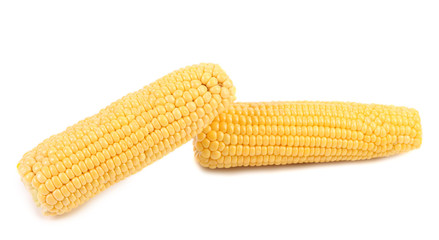 Two corncobs on a white background
