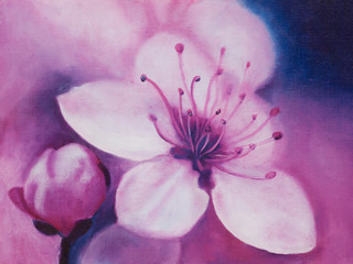 Obrazy  Wiosenne kwiaty wiśni, obraz olejny
