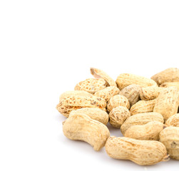 Peanut