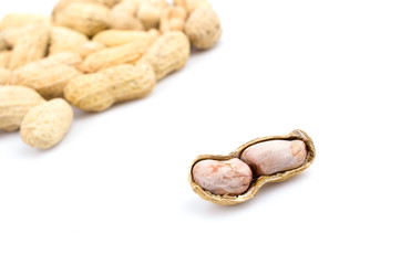 Peanut