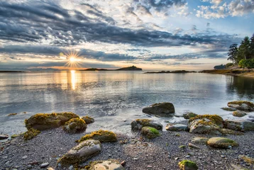 Rollo Küstensonnenstern mit Felsen © souvenirpixels