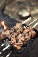 very tasty barbecue grill on fire