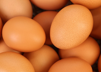 Background of brown eggs. Close up.