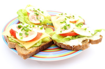 Closeup of sandwich with cheese and vegetables