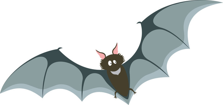 Cartoon bat