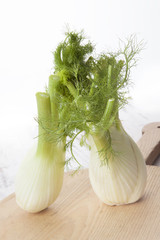 Natural fennel background.