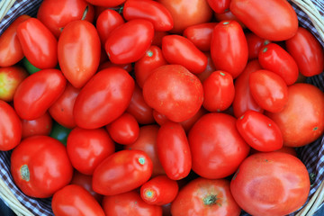 Свежие спелые помидоры