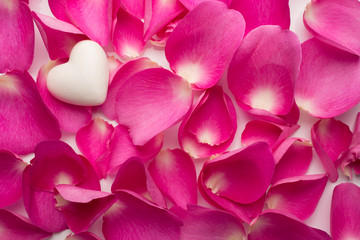Fototapeta premium Rose petals.