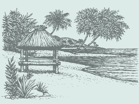 Vector seascape. Palm trees near bungalow on the seashore