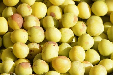 Mirabelles
