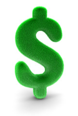 Fur  Dollar Sign (clipping path included)