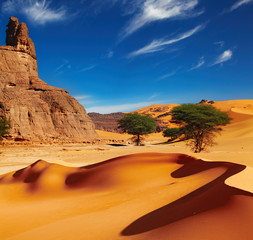 Sahara Desert, Algeria - obrazy, fototapety, plakaty