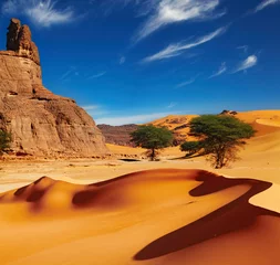 Zelfklevend Fotobehang Woestijnlandschap Saharawoestijn, Algerije