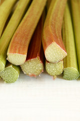 Rhubarb stems