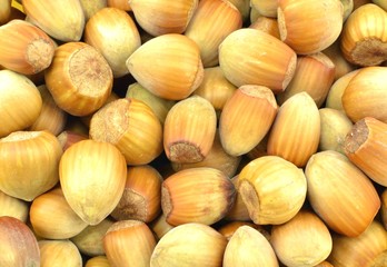 hazelnuts