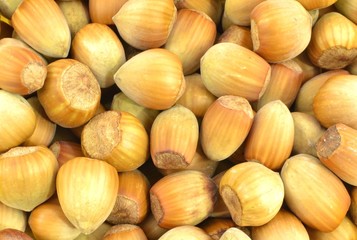 hazelnuts