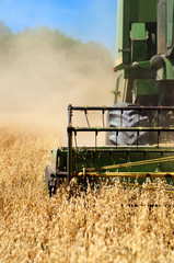 Combine harvesting machinery collecting wheat from the fields