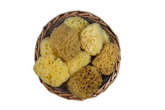 Esponjas de Mar Naturales