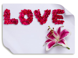 Love made from red rose petals and lily flower on paper