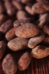 roasted cocoa beans macro background