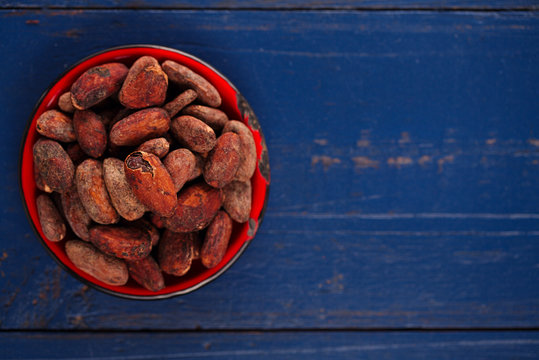 roasted cocoa chocolate beans on dark blue wood background