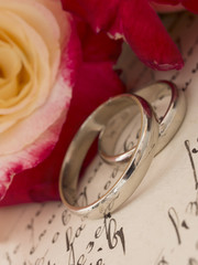 wedding rings in the vintage arrangement