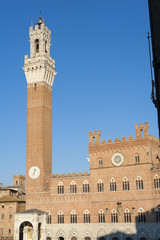Obraz premium Torre del Mangia Siena