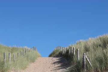 Weg in den Dünen an der niederländischen Nordseeküste