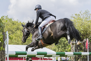 Jinete con caballo saltando obstáculo © Marco Antonio Fdez.