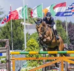 Jinete con caballo saltando obstáculo