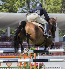 Jinete con caballo saltando obstáculo
