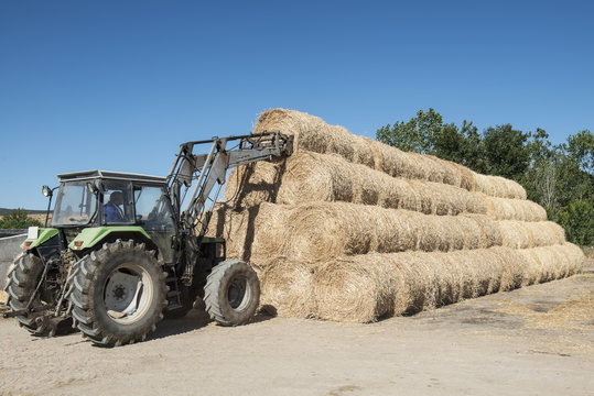 Tractor colocando balas de paja redondas