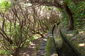 Levada di Madeira