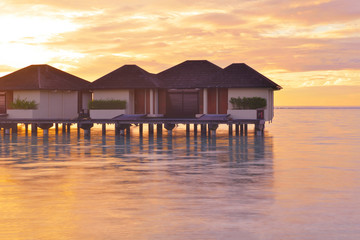 tropical beach landscape