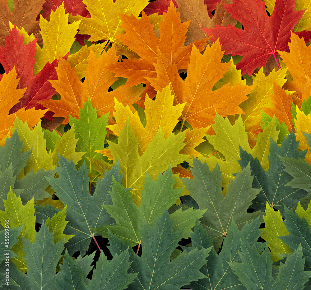 Poster autumn pattern
