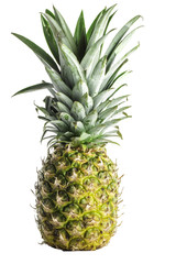 Fototapeta premium Pineapple