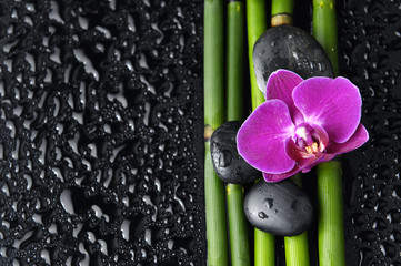 Spa still life with red orchid and zen stones