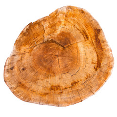Top view of a tree stump isolated on white background