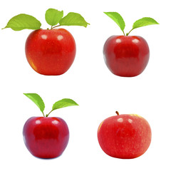 apples on a white background