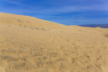Maspalomas Duna - Desert in Canary island Gran Canaria