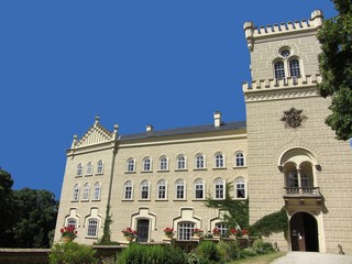 Fototapeta premium chesy